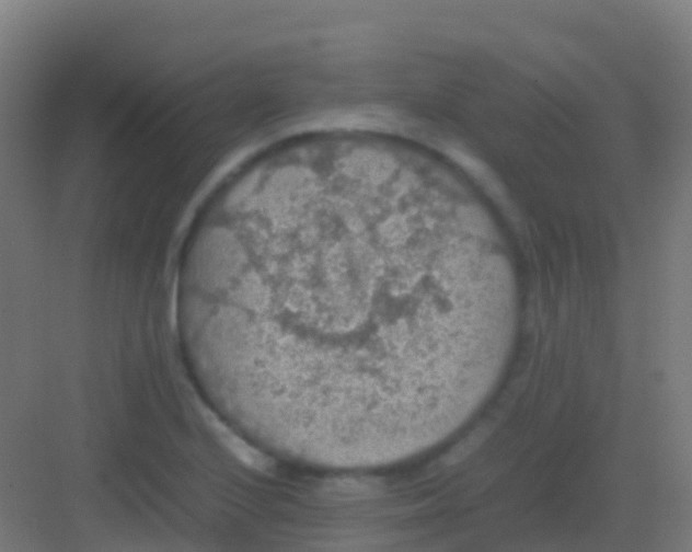 X0000081311224200702082102