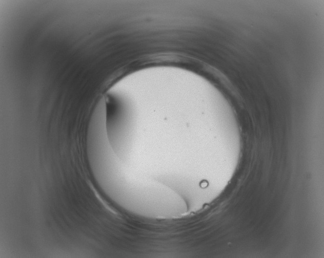 X0000081311225200702082102