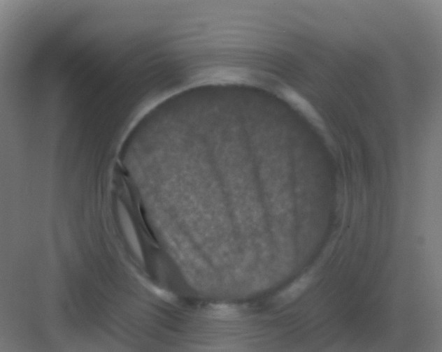 X0000081311226200702082102