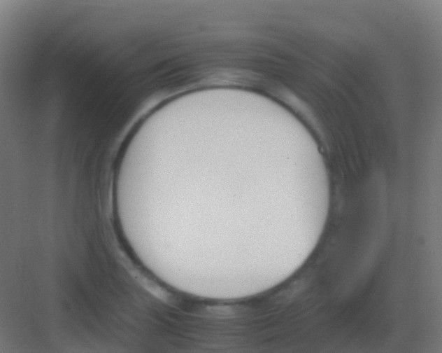 X0000081311227200702082102