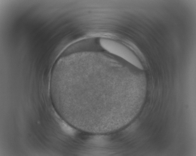 X0000081311228200702082102