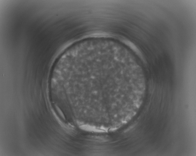 X0000081311229200702082102