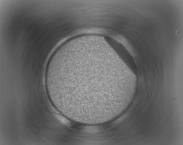 X0000081311232200702082102