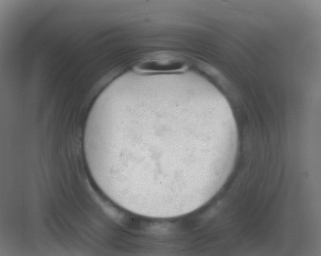 X0000081311233200702082102