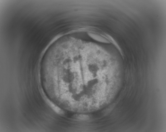 X0000081311235200702082102