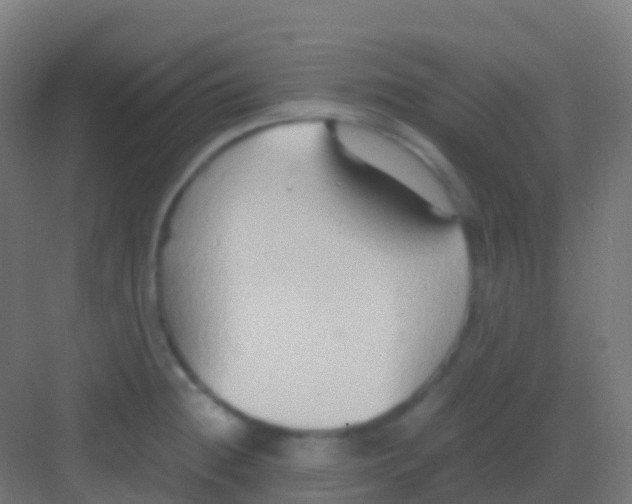 X0000081311236200702082102