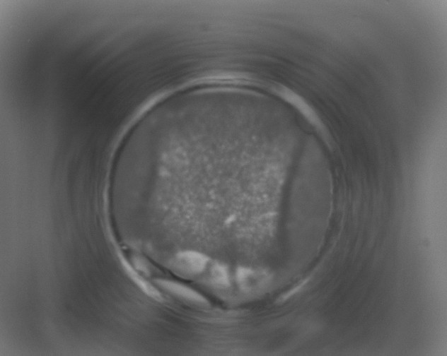 X0000081311237200702082102