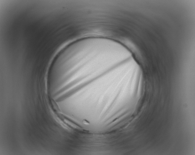 X0000081311238200702082102