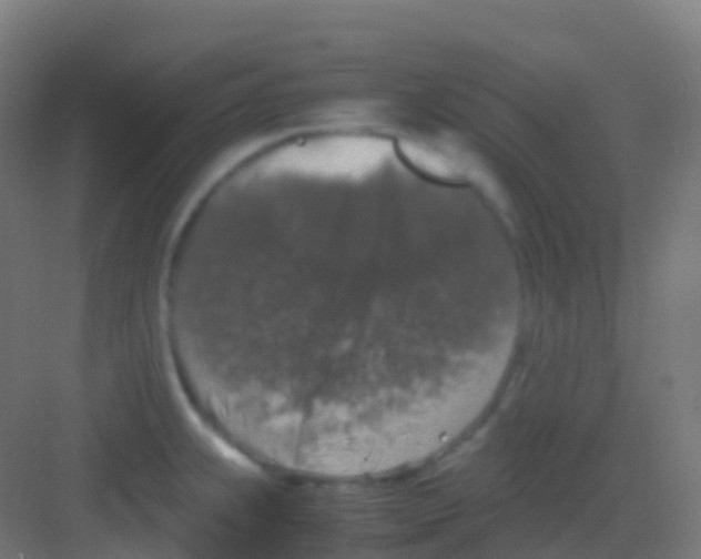 X0000081311239200702082102