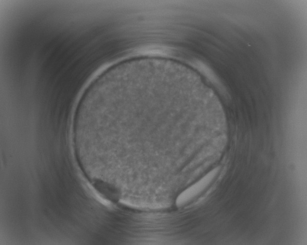 X0000081311240200702082102