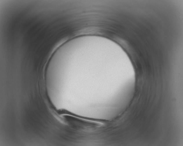 X0000081311242200702082102