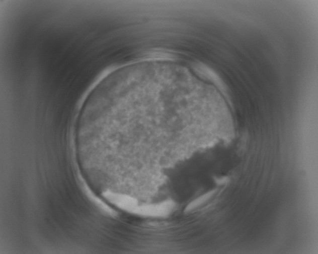 X0000081311243200702082102