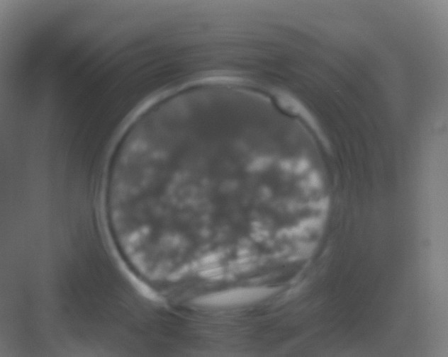 X0000081311245200702082102