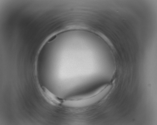 X0000081311246200702082102