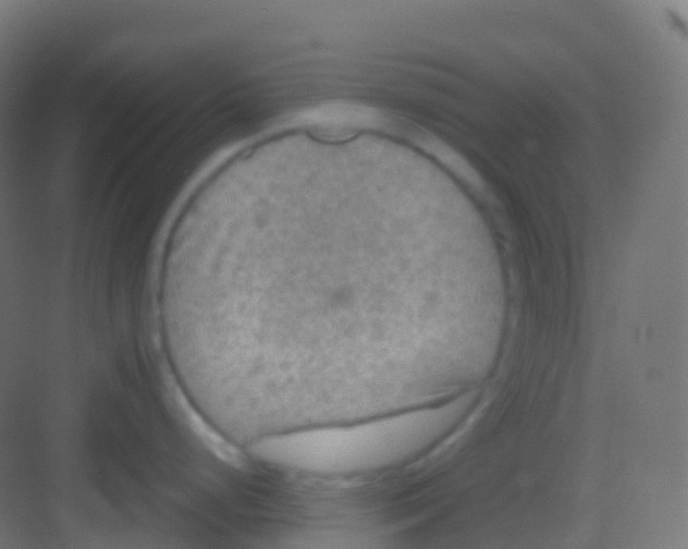 X0000081311248200702082102