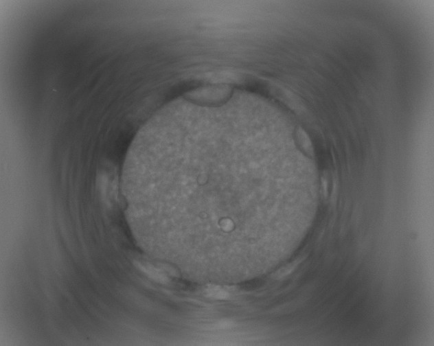 X0000081311251200702082101