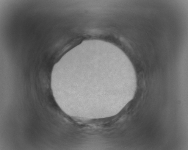 X0000081311253200702082101