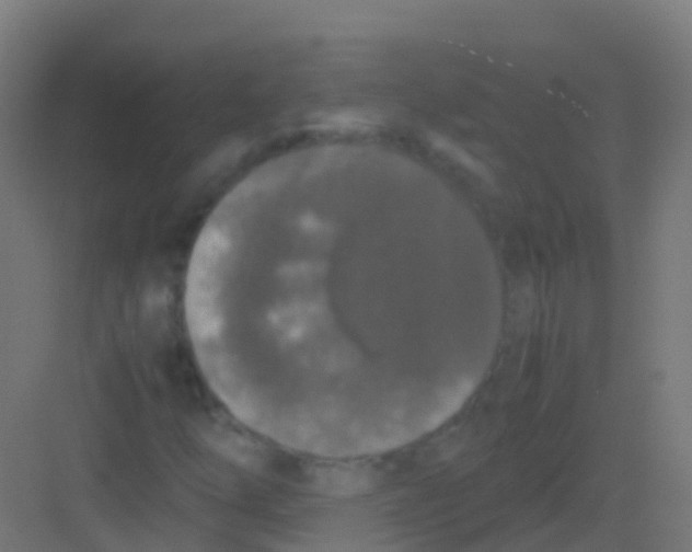 X0000081311254200702082101