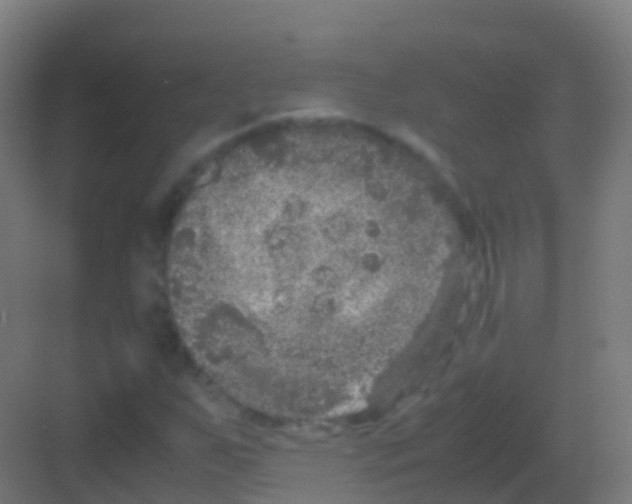 X0000081311255200702082101