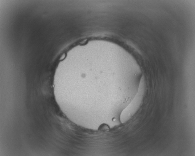 X0000081311256200702082101