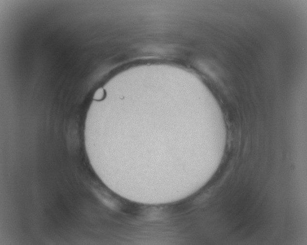 X0000081311259200702082101