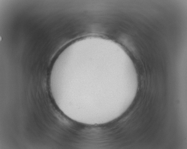 X0000081311260200702082101