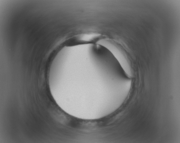 X0000081311261200702082101