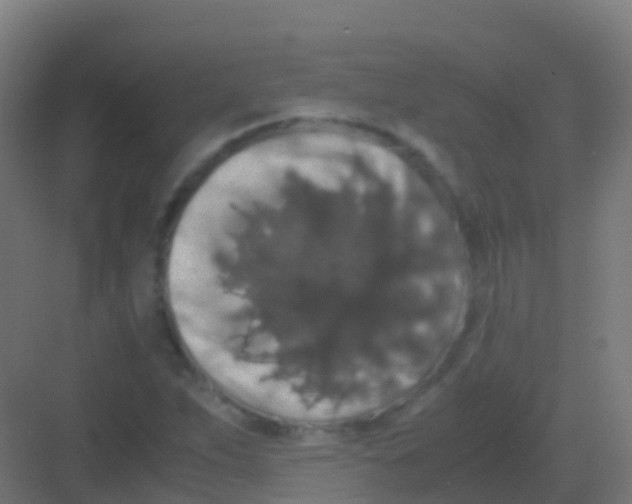 X0000081311263200702082101