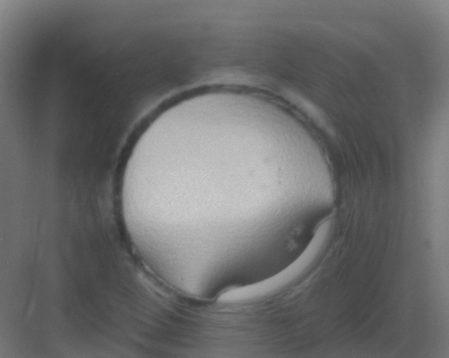 X0000081311264200702082101