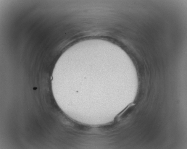 X0000081311265200702082101