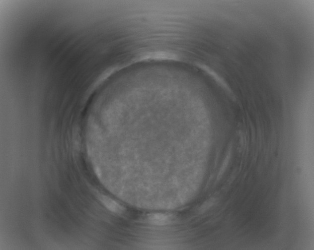 X0000081311266200702082101