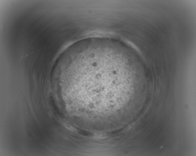 X0000081311267200702082101