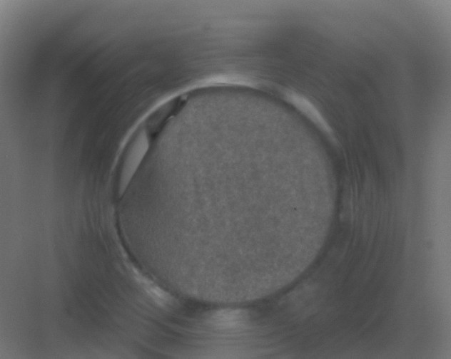 X0000081311268200702082101