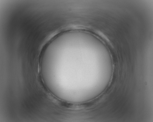 X0000081311269200702082101