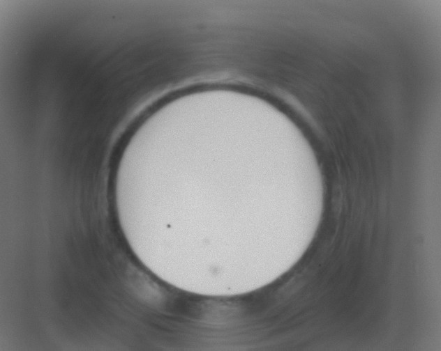 X0000081311270200702082101