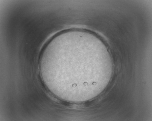 X0000081311271200702082101