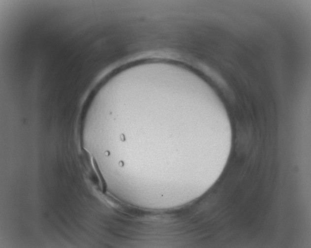 X0000081311272200702082101