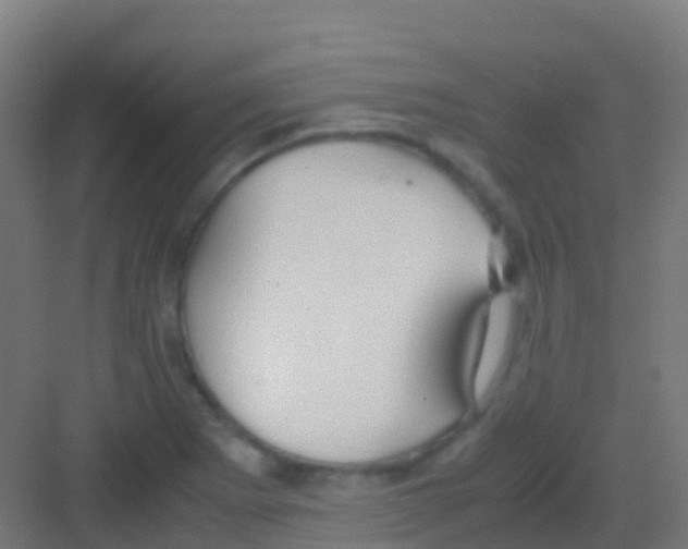 X0000081311273200702082101