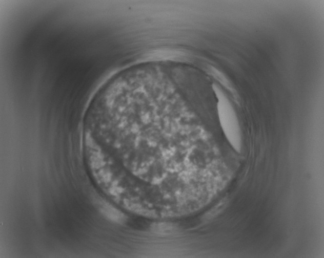 X0000081311275200702082101