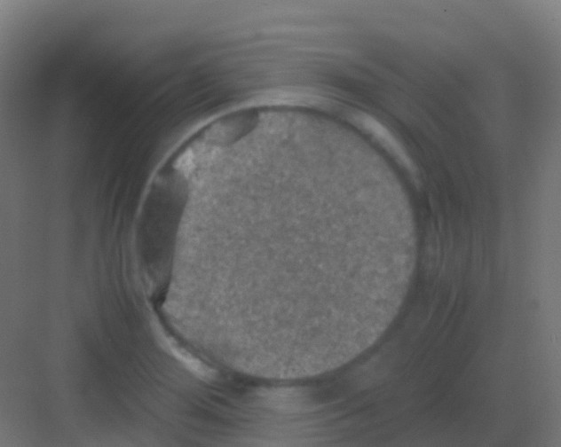 X0000081311276200702082101