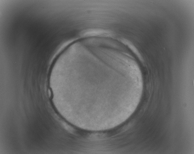 X0000081311277200702082101