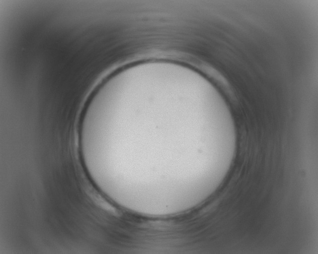 X0000081311280200702082101