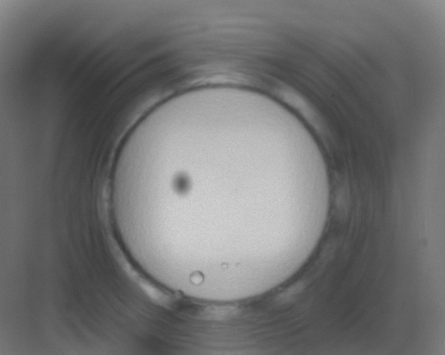 X0000081311282200702082101