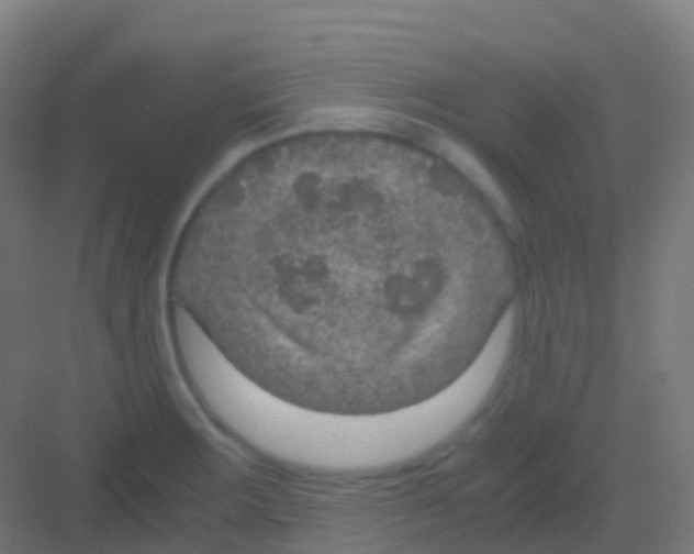 X0000081311283200702082101