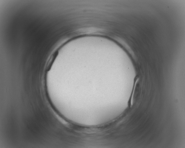 X0000081311285200702082100