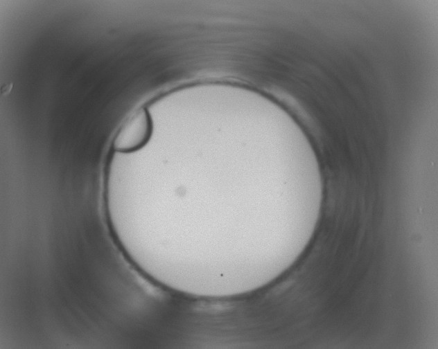 X0000081311286200702082100