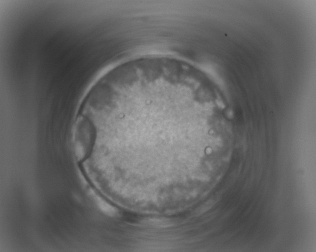 X0000081311287200702082100