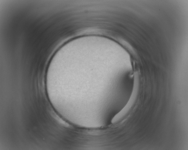 X0000081311288200702082100