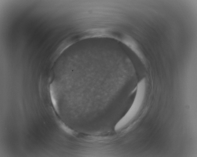 X0000081311289200702082100