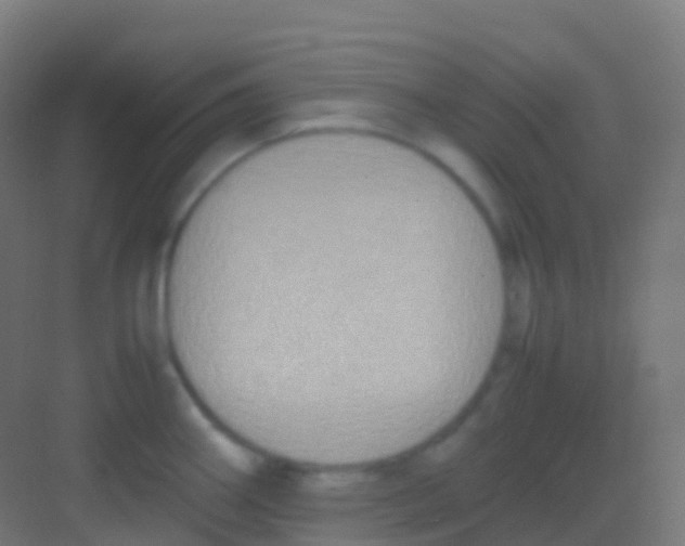 X0000081311290200702082100